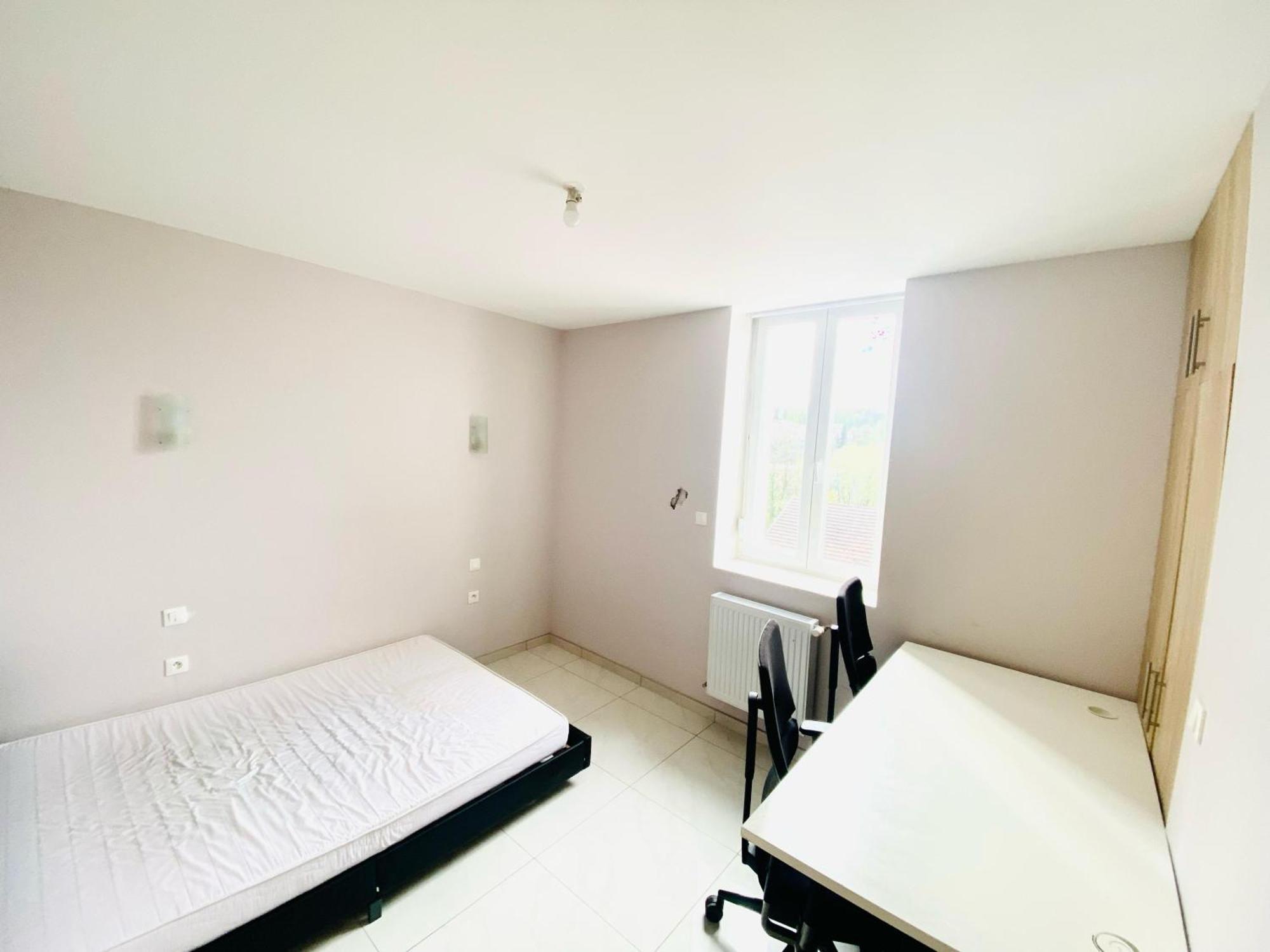 V4 - Chambre Double - 5 Minutes Du Luxembourg Apartment Villerupt Екстериор снимка